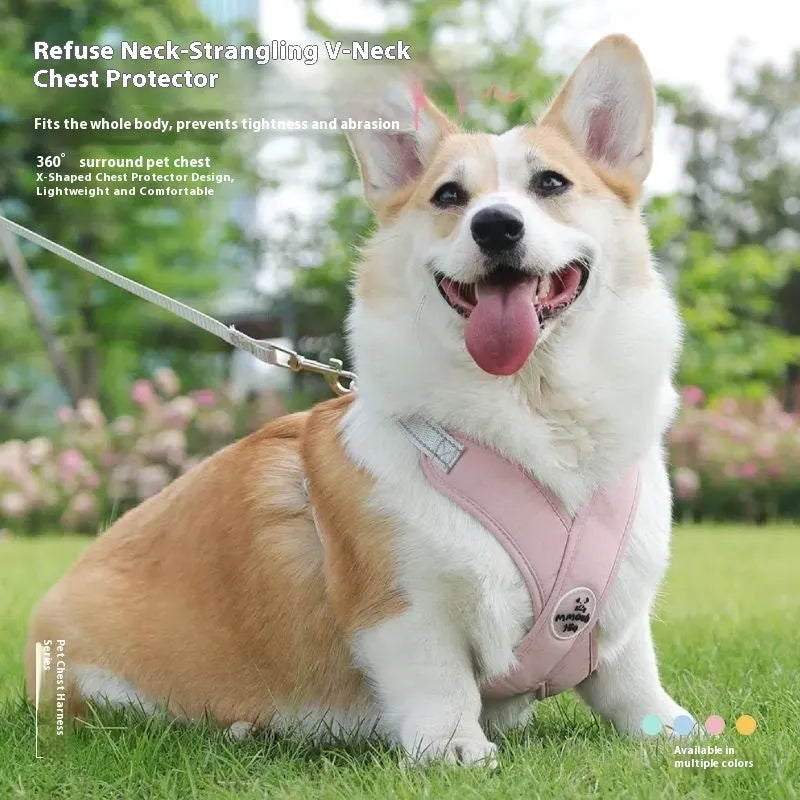 Adjustable dog vest with hand holding rope in blue colour, showing quick-release buckles and padded chest plate