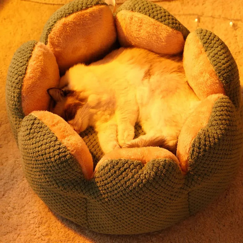 Cactus petal shape soft plush pet kennel bed for cats and dogs with non-slip bottom