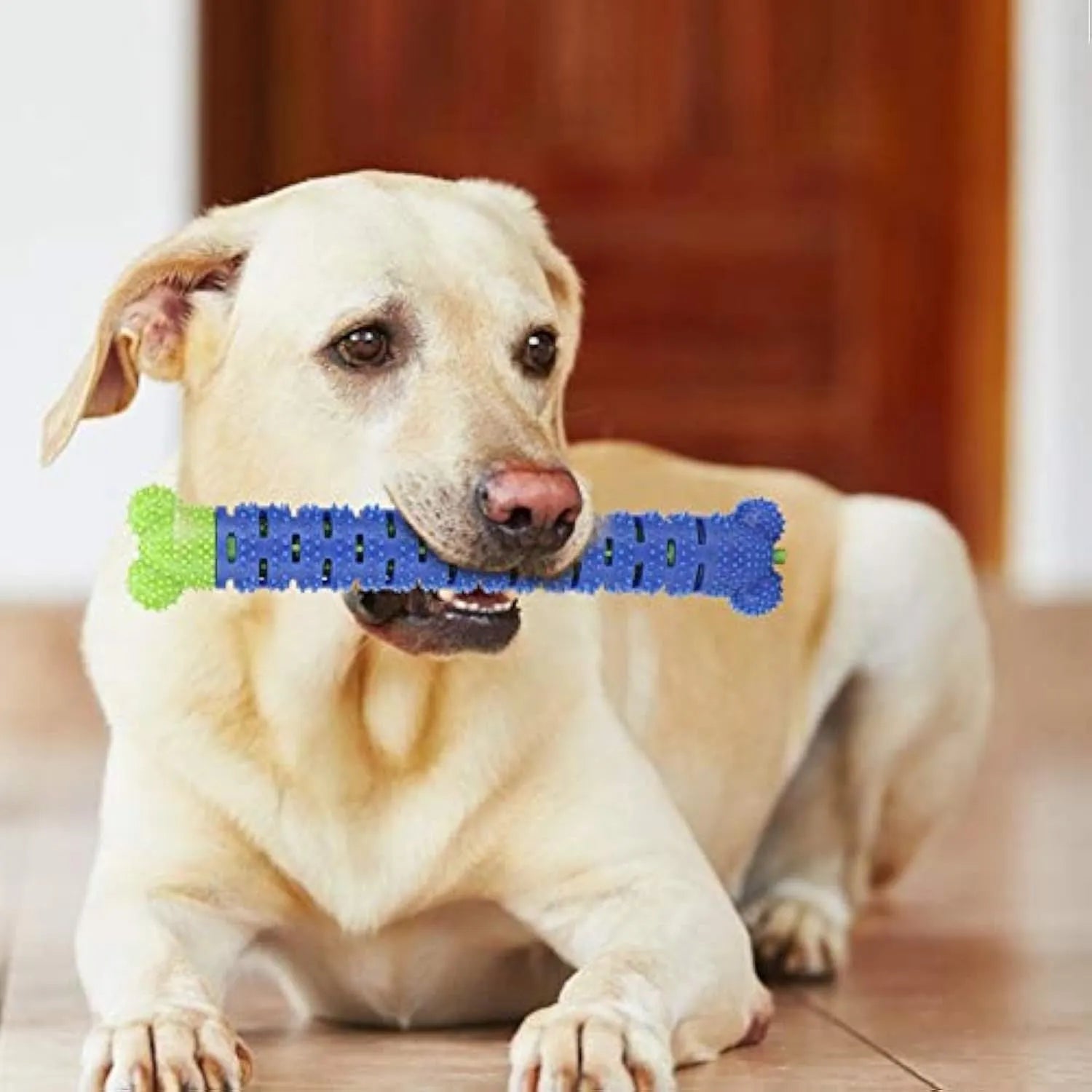 Blue Green Pet Molar Tooth Cleaner, a 25cm silicone brushing stick with serrated head and crevice for dog teeth cleaning