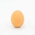 Simulation egg-shaped dog chew toy with squeaker sound for dental play