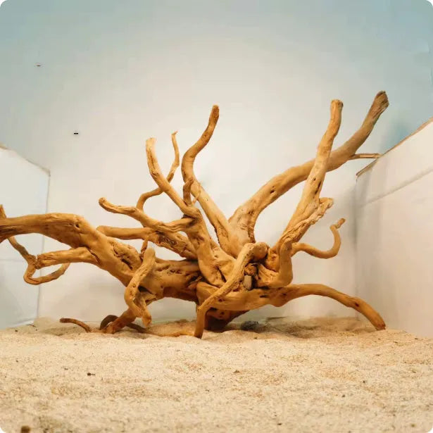 Xiaoqi root natural wood aquarium decoration ornament with branching structure for fish tank scenery