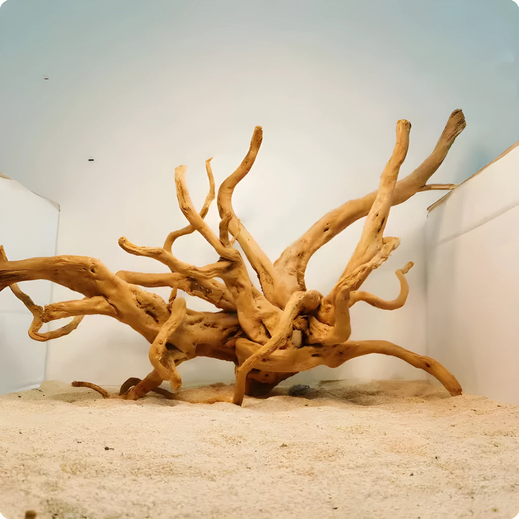 Xiaoqi root wood aquarium decoration ornament in natural wood colour