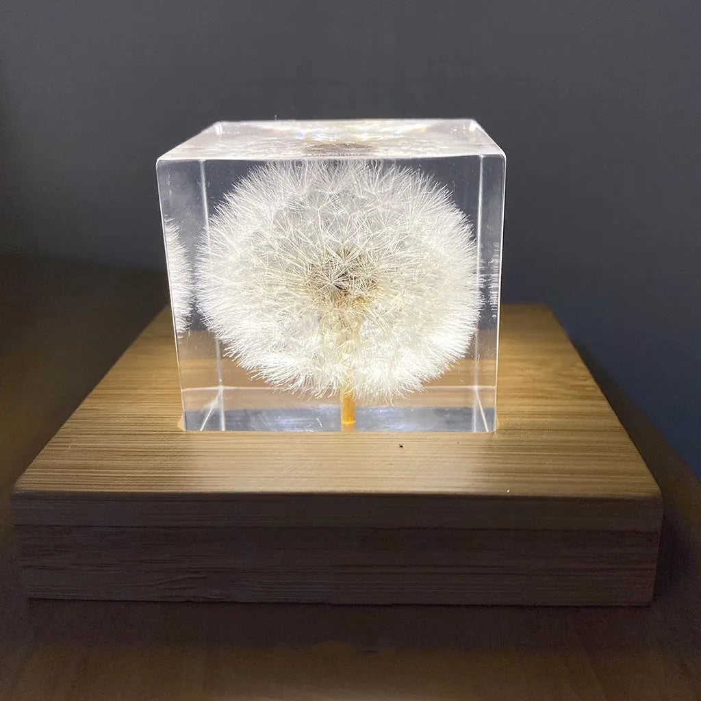 Clear resin cube with preserved dandelion flower beside wooden box and USB charging base