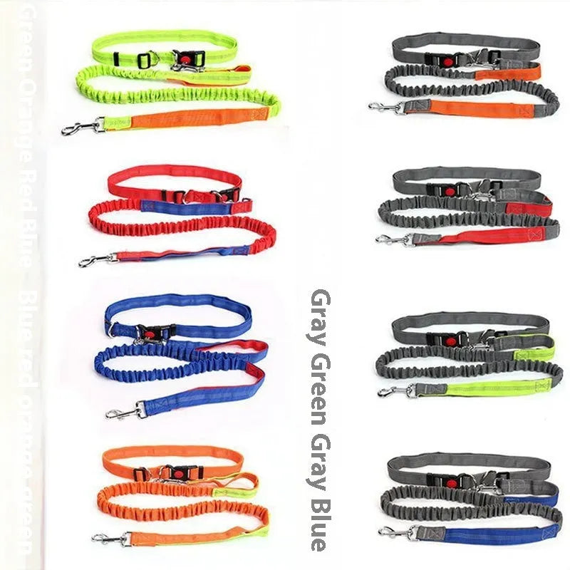 Grey and green nylon dog leash with elastic and reflective strips, shown with a 2.5cm width measurement.