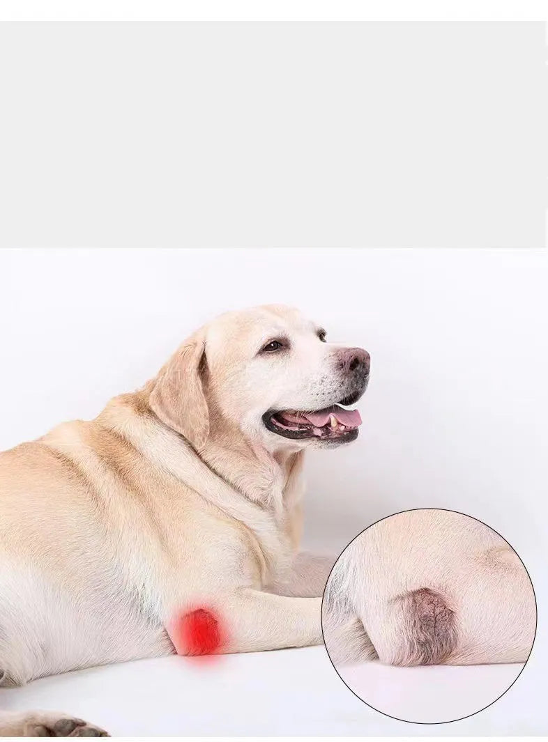 Dog leg support protector in diving cloth and mesh, adjustable Velcro strap, for front and rear legs, sizes XS to XL.