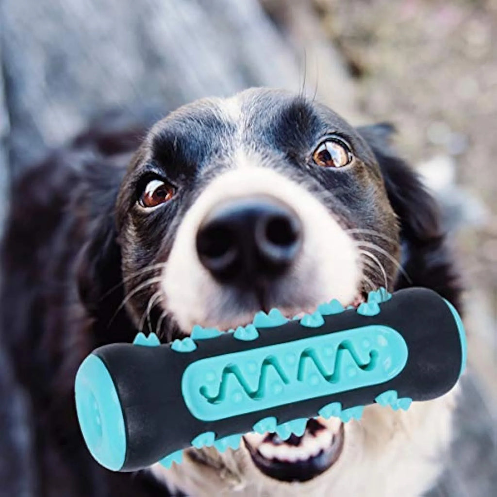 Natural rubber dog toothbrush chew toy in blue colour, measuring 15cm long, for dental cleaning and boredom reduction