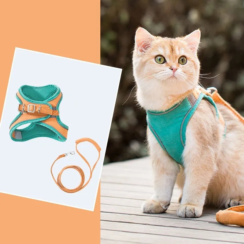Blue and orange stitched suede cat vest with reflective chest strap and attached 1.5 metre walking rope