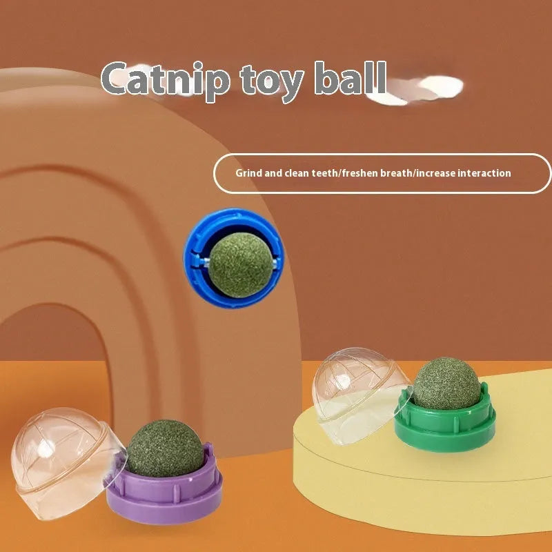 Plastic catnip ball toy in various colours for dental cleaning and bite-resistant play