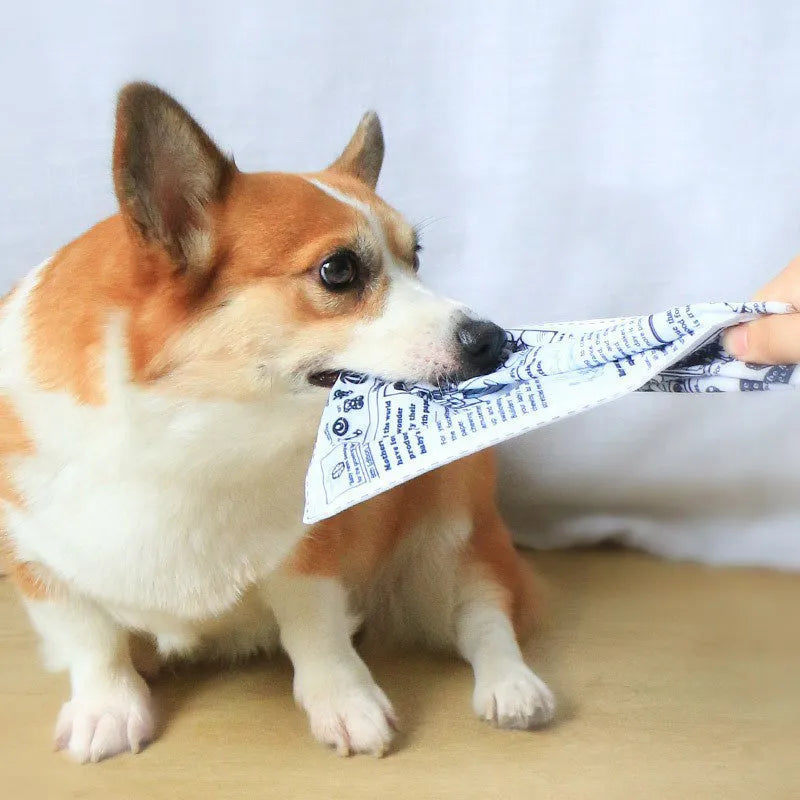 Tear-resistant dog toy with crinkly material in newspaper and playing card designs for small breeds.