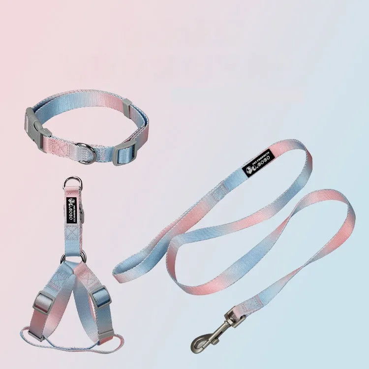 Nylon dog leash set with gradient colours in pink and blue, showing collar, chest strap, and lead for secure walks