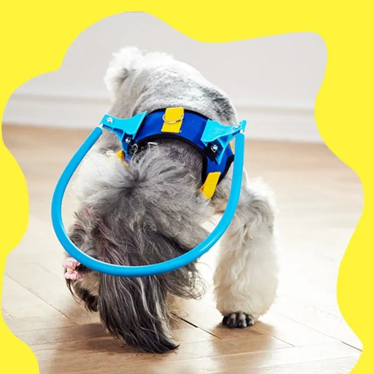 Blue adjustable dog anti-collision ring showing coil design for pet safety protection