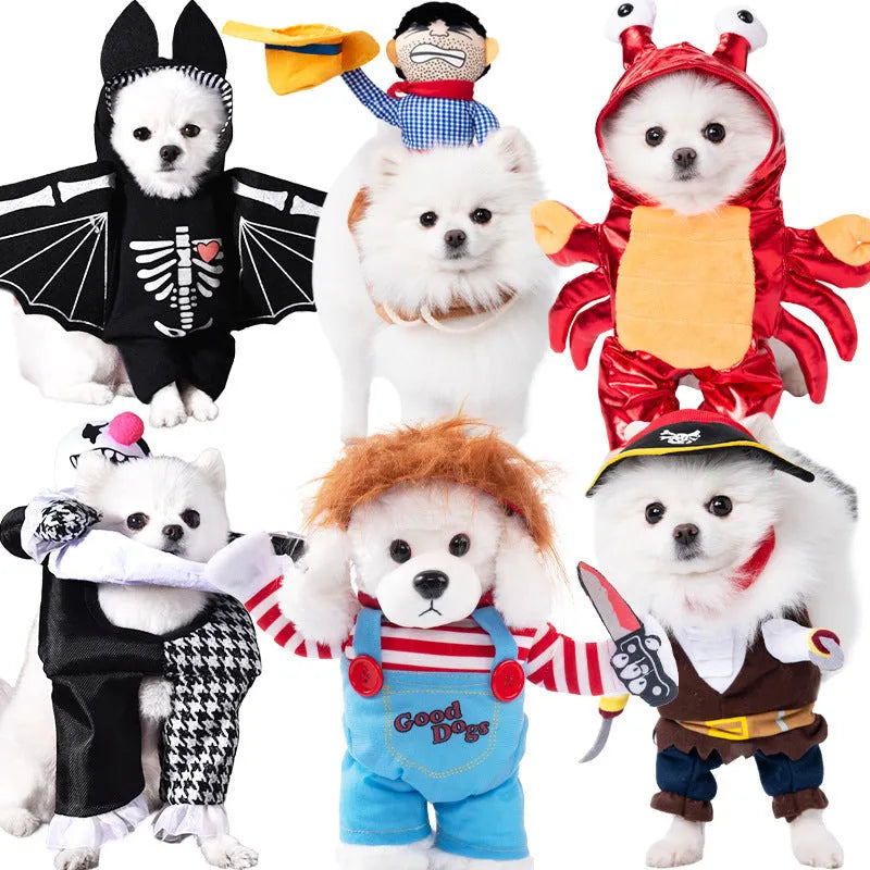 Halloween dog costume collection showing multiple themed outfits including bat, devil, and snowman designs