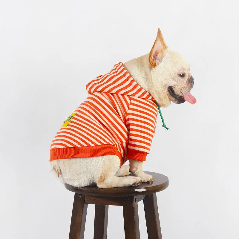 Orange cotton hooded sweater for a dog on a mannequin, showing Japanese South Korean style.