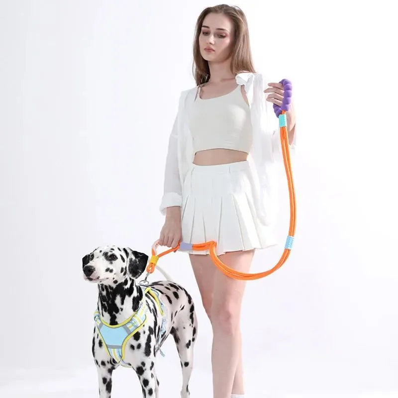 Nylon dog traction leash with foam handle showing black, light purple, sky blue and yellow colour options