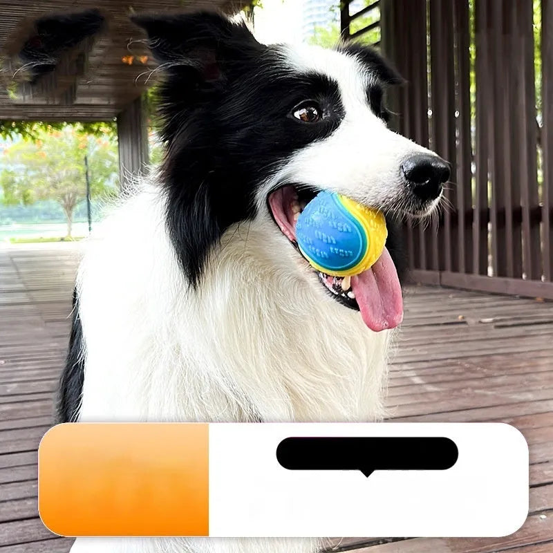 TPR rubber dog training ball with sound core in multicolour options including luminous variants