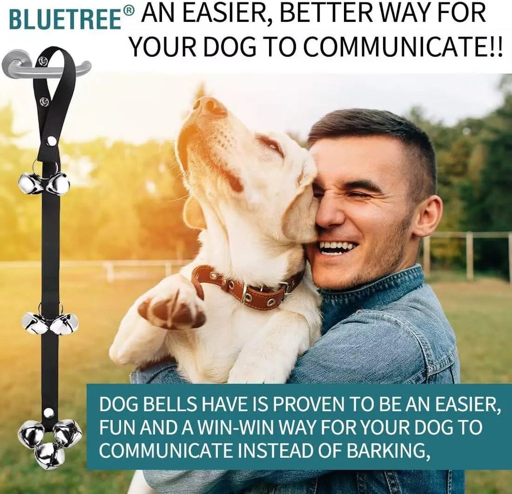 Seven large silver metal dog training bells hanging on an adjustable black nylon leash.