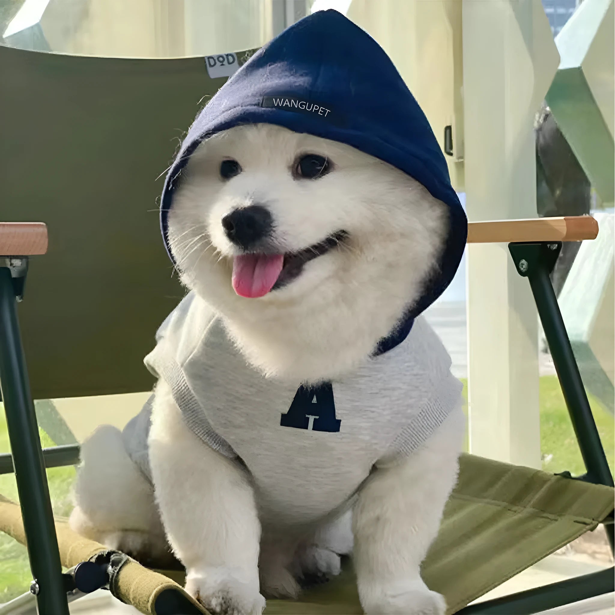 Blue slim-fitting pet sweater with reflective letters on a dog, showing casual style and close fit