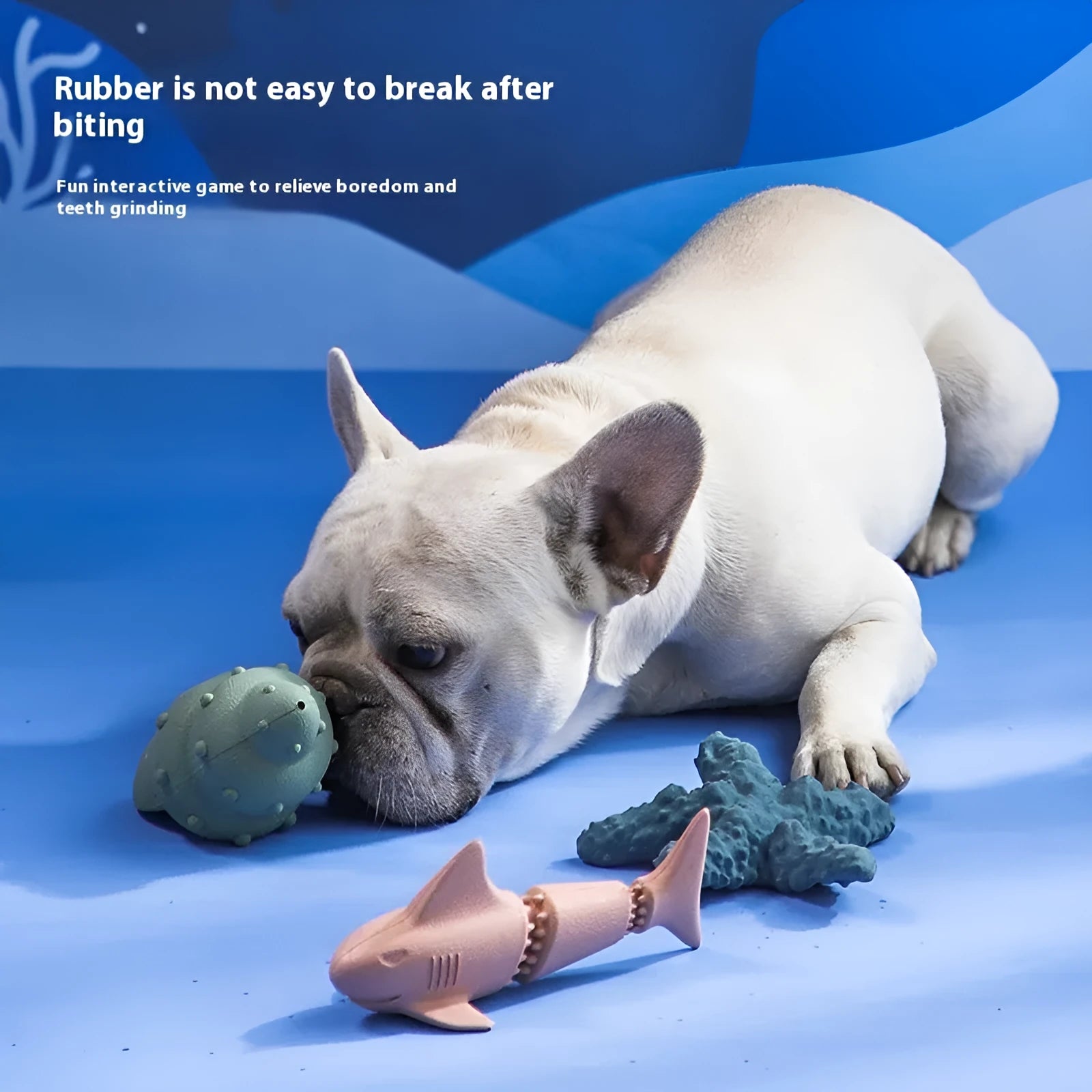 Deep sea shark rubber dog toy showing marine animal shapes in blue and green colour options