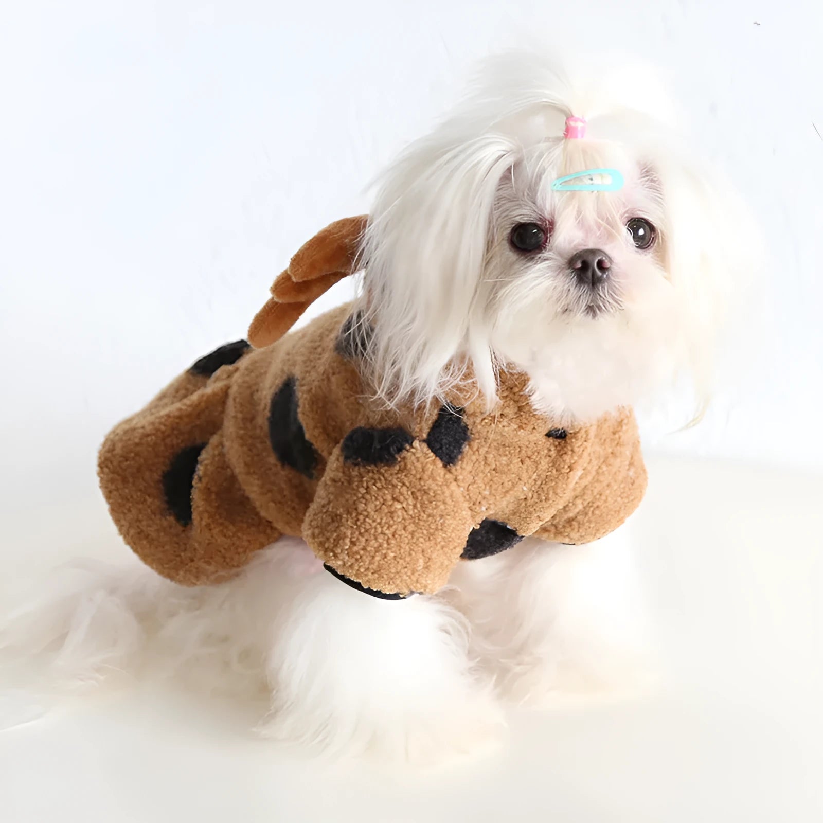 Petstyle big polka dot elk couple clothes for cats and dogs showing skirt and four-leg style options