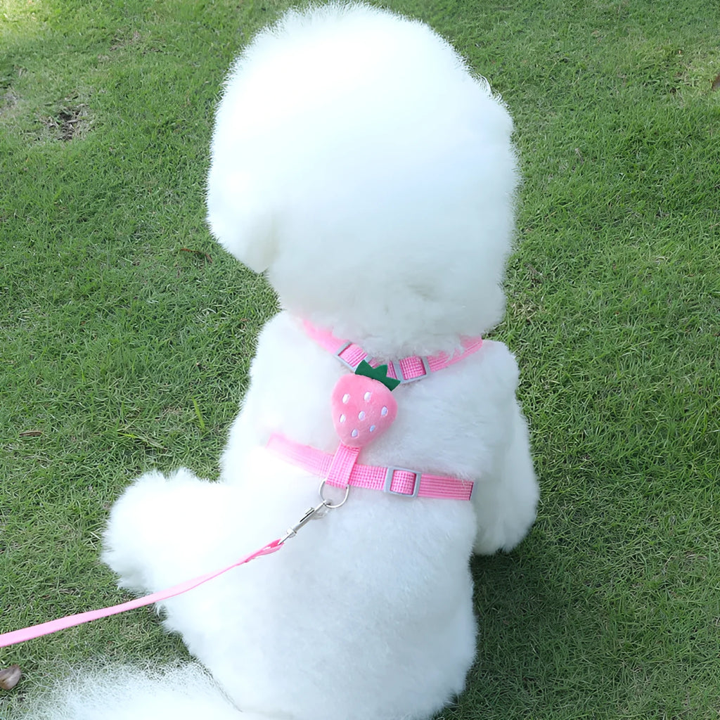 Reflective chest strap vest harness for small dogs with adjustable leash in avocado colour