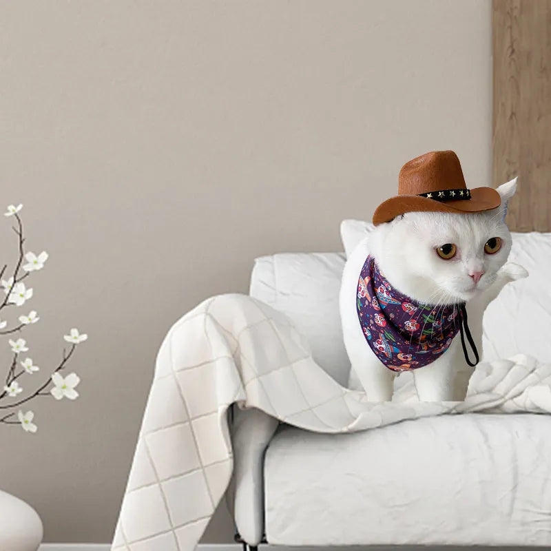 Soft adjustable star cowboy hat for pets on a cat or dog