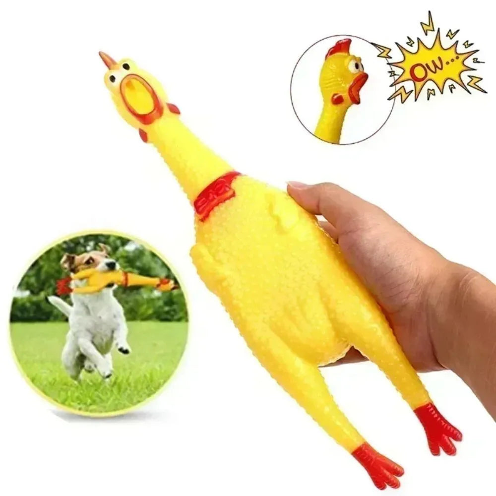Yellow rubber squeaking chicken dog toy shown in small, medium, and large sizes.