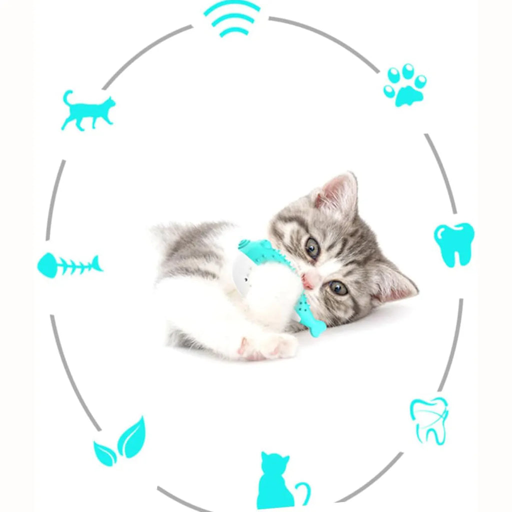 Blue silicone fish-shaped cat chew toy measuring 12.2cm with detailed scale texture for dental stimulation