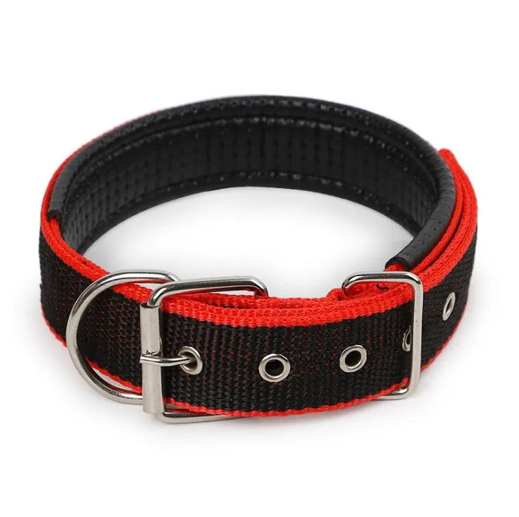 Soft leather-lined pet collar with polypropylene foam padding and nylon webbing, in multiple sizes and colours