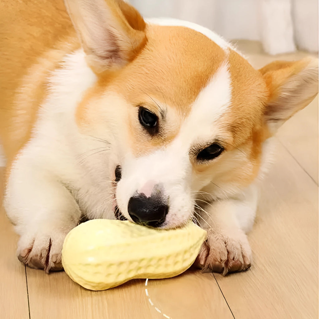 Yellow TPR peanut-shaped dog chew toy with textured surface and squeaker function