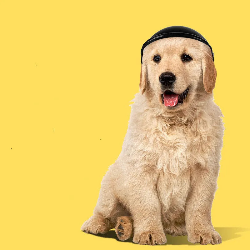 Small S-size pet helmet in pink, black, yellow, or green with monochrome pattern for motorcycle safety.