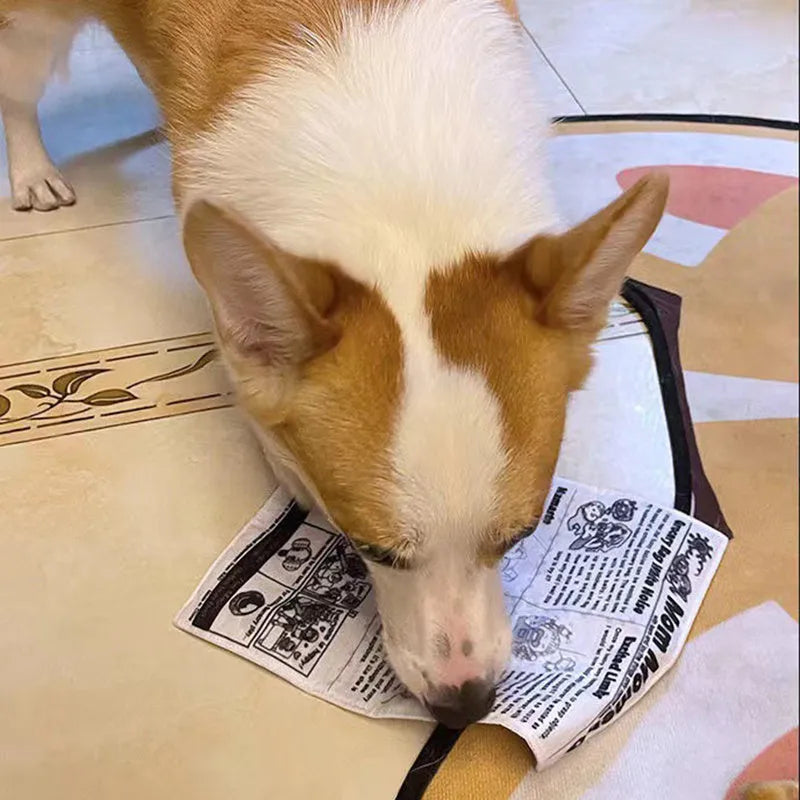 Tear-resistant dog toy with crinkly material in newspaper and playing card designs for small breeds.