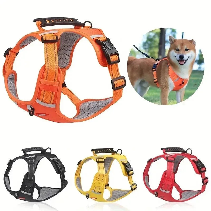 Adjustable dog harness in lake blue with reflective stitching and quick-release buckles, shown on a medium-sized dog.