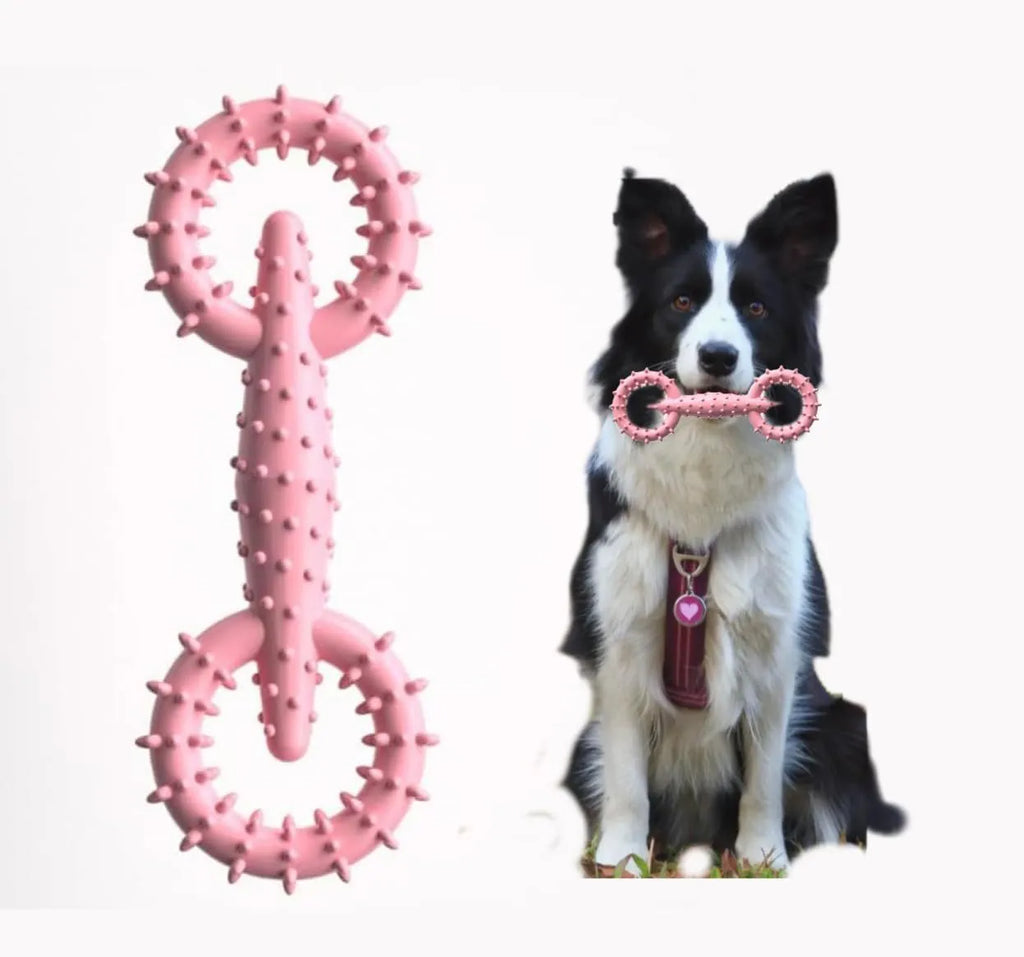 Blue TPR dog chew toy ring measuring 16cm in diameter for puppy teething relief