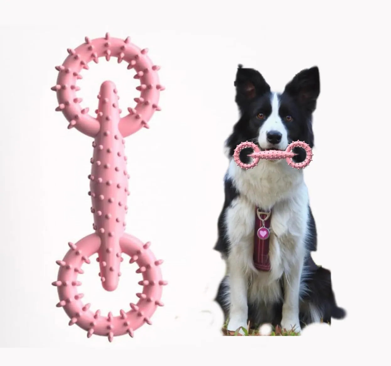 TPR dog chew toy ring in blue, green, or pink, measuring 16cm in diameter for teething puppies