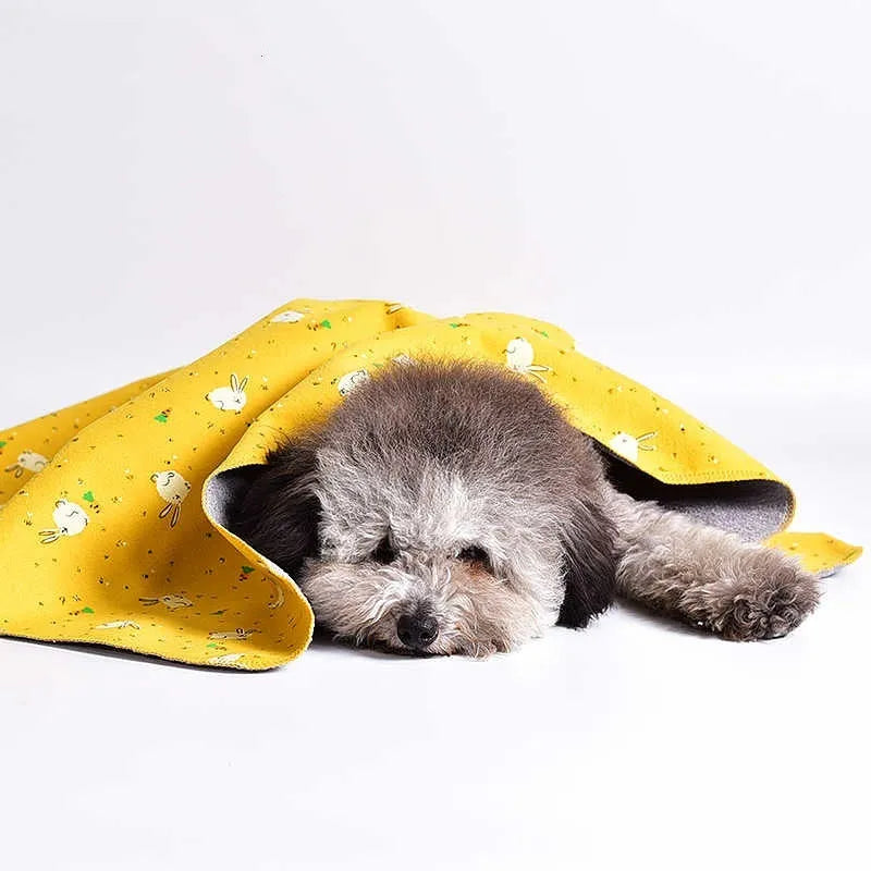 Colourful double-sided cotton pet blanket with dinosaur print, shown next to a dog bed.