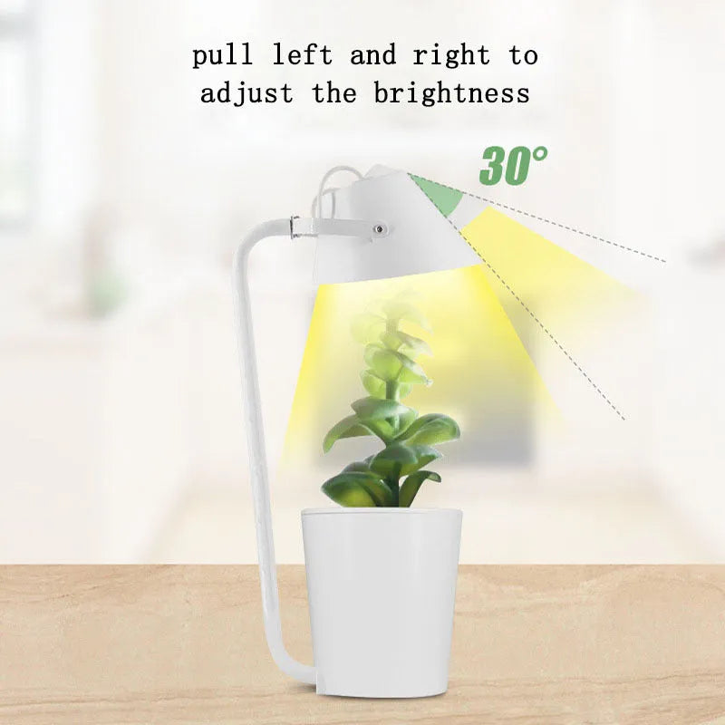 White hydroponic container for soilless desktop plant cultivation with international size regulations
