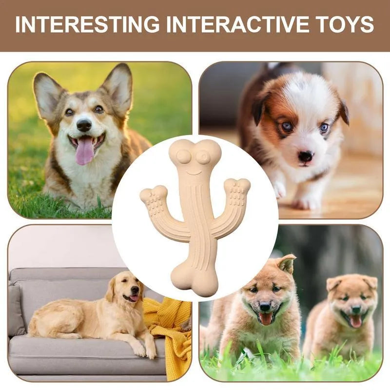 Beige, blue, or purple cactus-shaped dog chew toy made from bamboo fibre and rubber shown in small and large sizes.