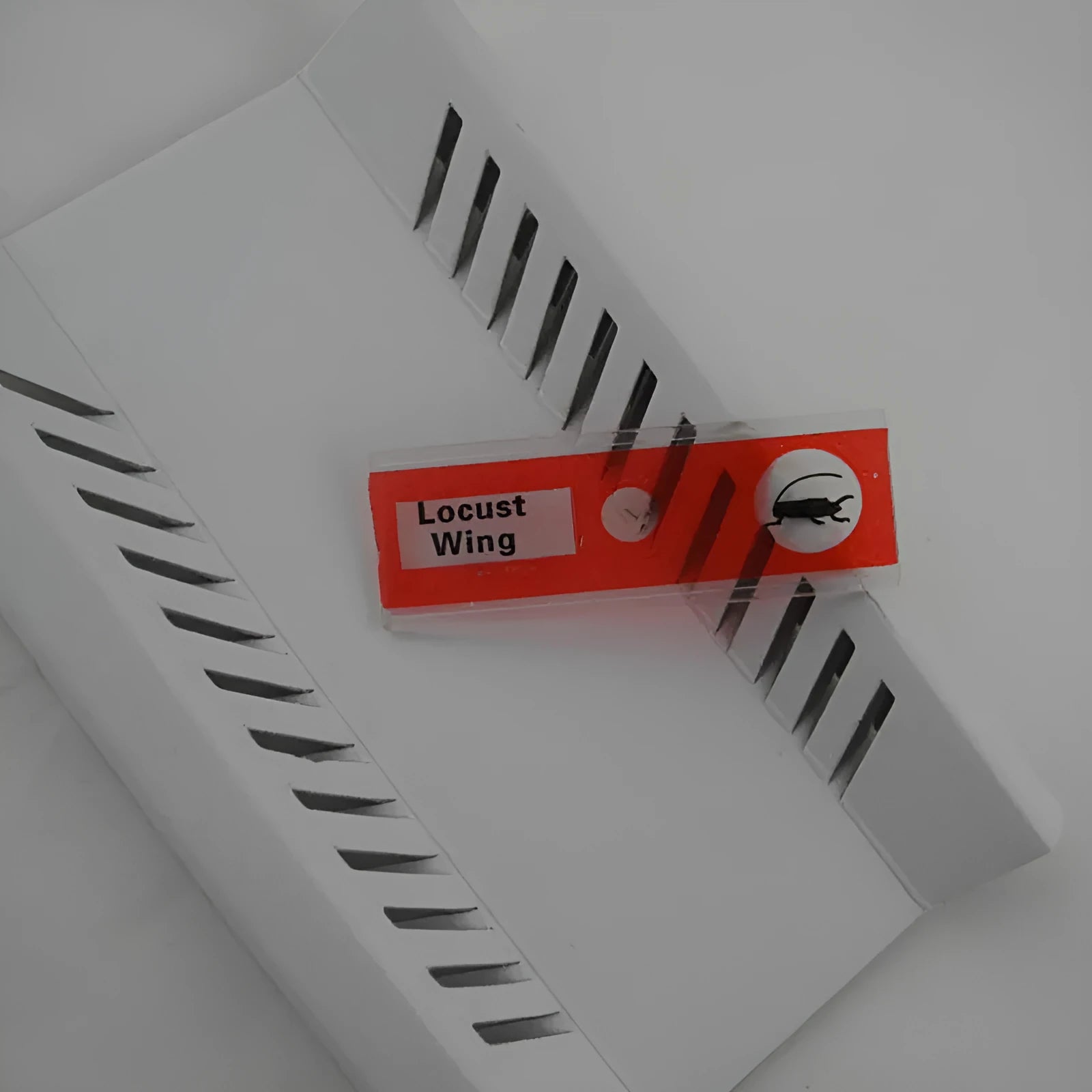 48-piece educational microscope slide set with colour-coded boxes containing plant and animal specimens.