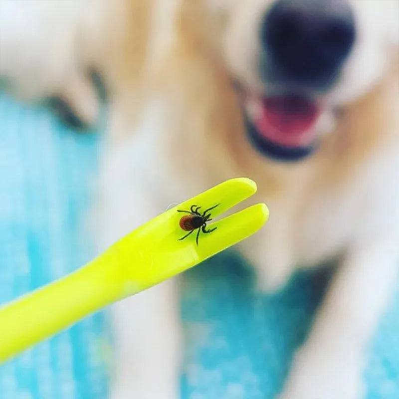 Three plastic tick removal hooks in blue and green colours for pet grooming, shown with size scale.