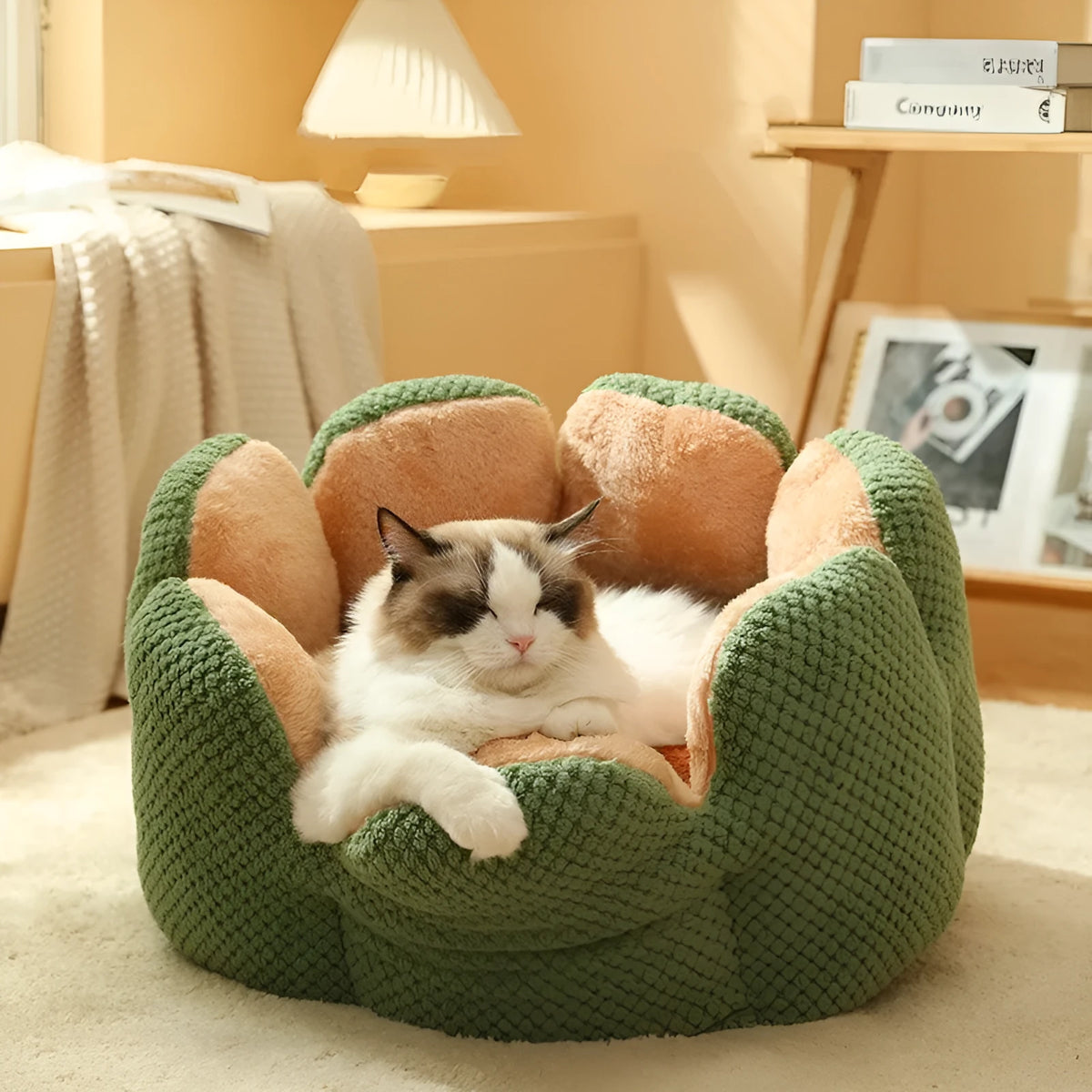 Cactus petal PP cotton pet nest in green, purple, grey or coffee, 40cm high, S/M/L sizes