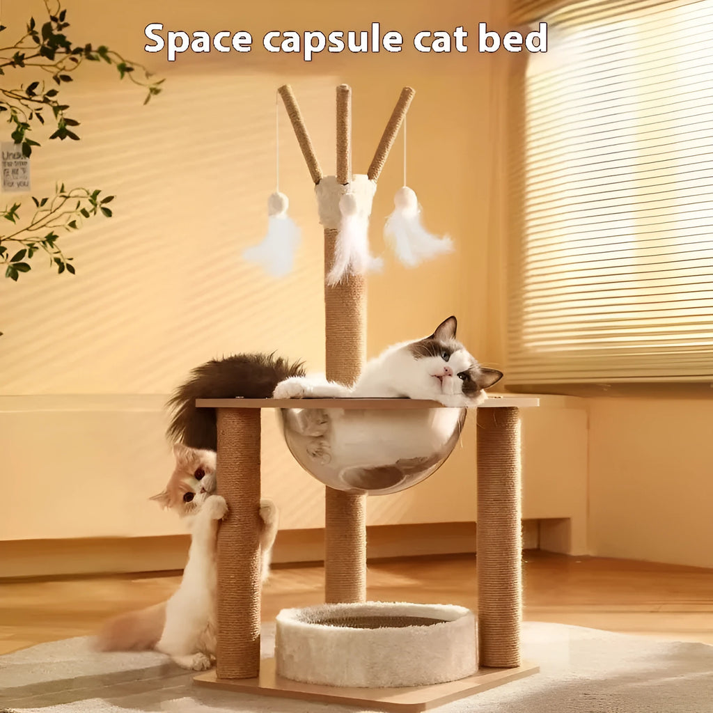 Wooden cat climbing frame with space capsule in luxury wood colour