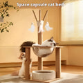 Wooden cat climbing frame with space capsule in luxury wood colour
