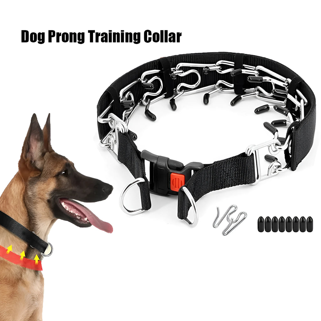 Dog training stimulation chain collar with spiked design in black, reflective blue, and reflective green colour options