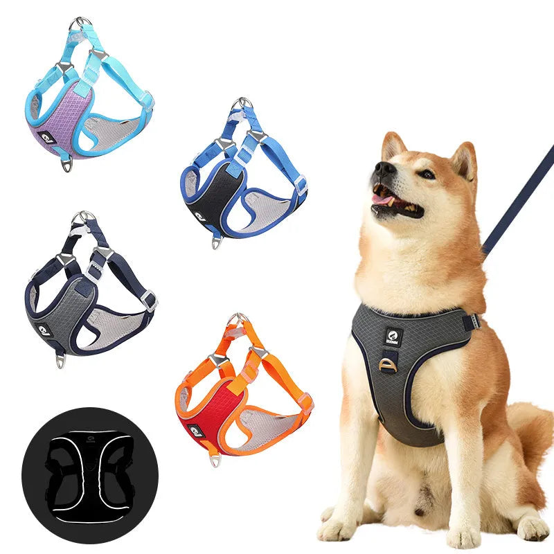 Adjustable mesh dog harness with reflective piping on small dog, showing chest and back straps