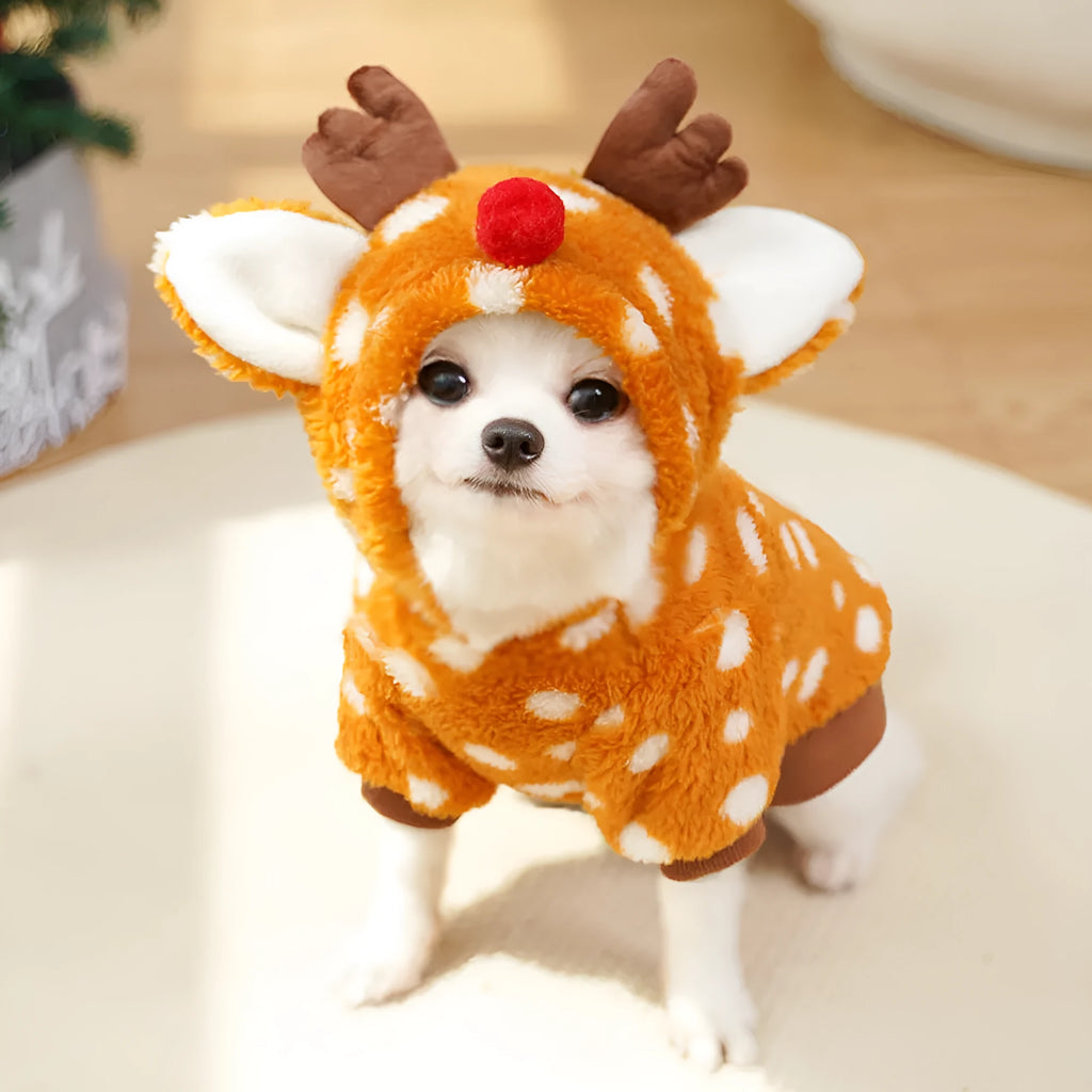 Small dog wearing elk antler Christmas costume with fleece lining and festive design