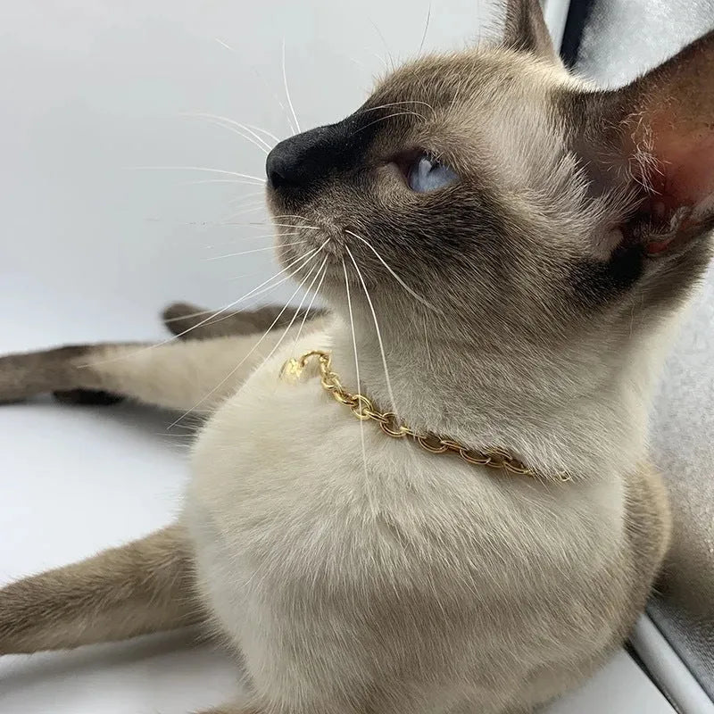 Stainless steel pet necklace with love heart pendant on curb chain in gold finish