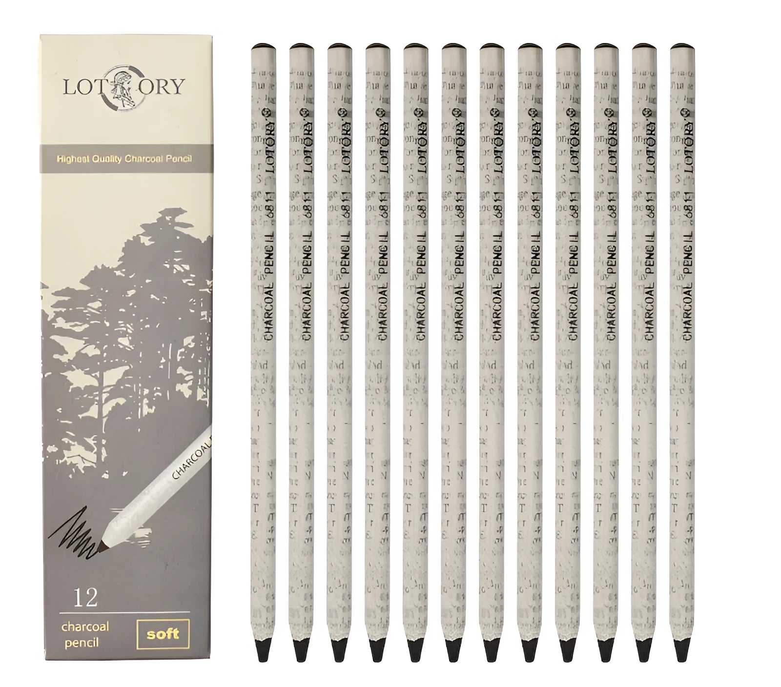 Professional soft charcoal sketching pencil set with multiple hardness grades and drawing charcoal components