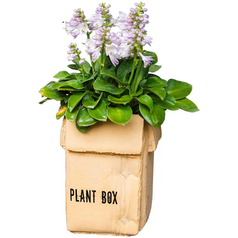 Cement brown paper box flowerpot with Nordic style design and bottom drainage holes for indoor planting