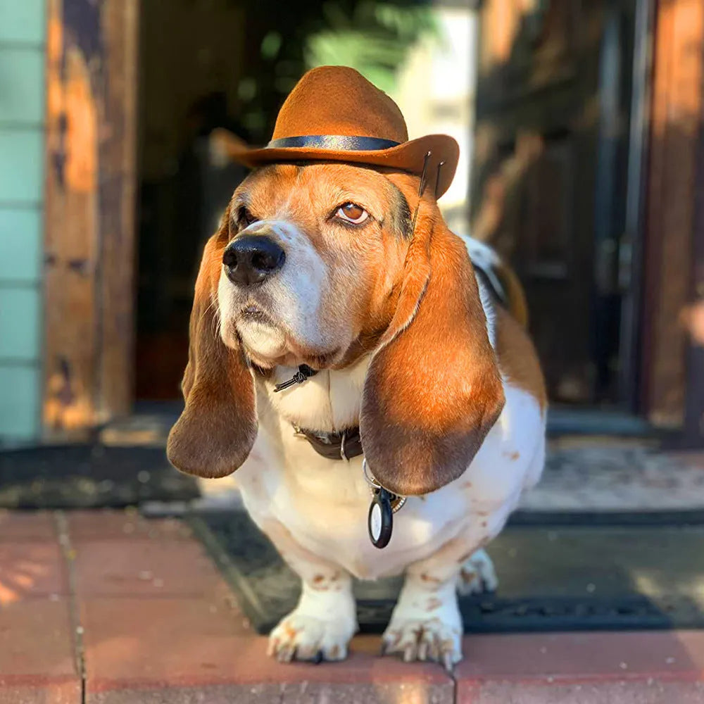 Adjustable pet cowboy hat in four colours for dog photography and cosplay