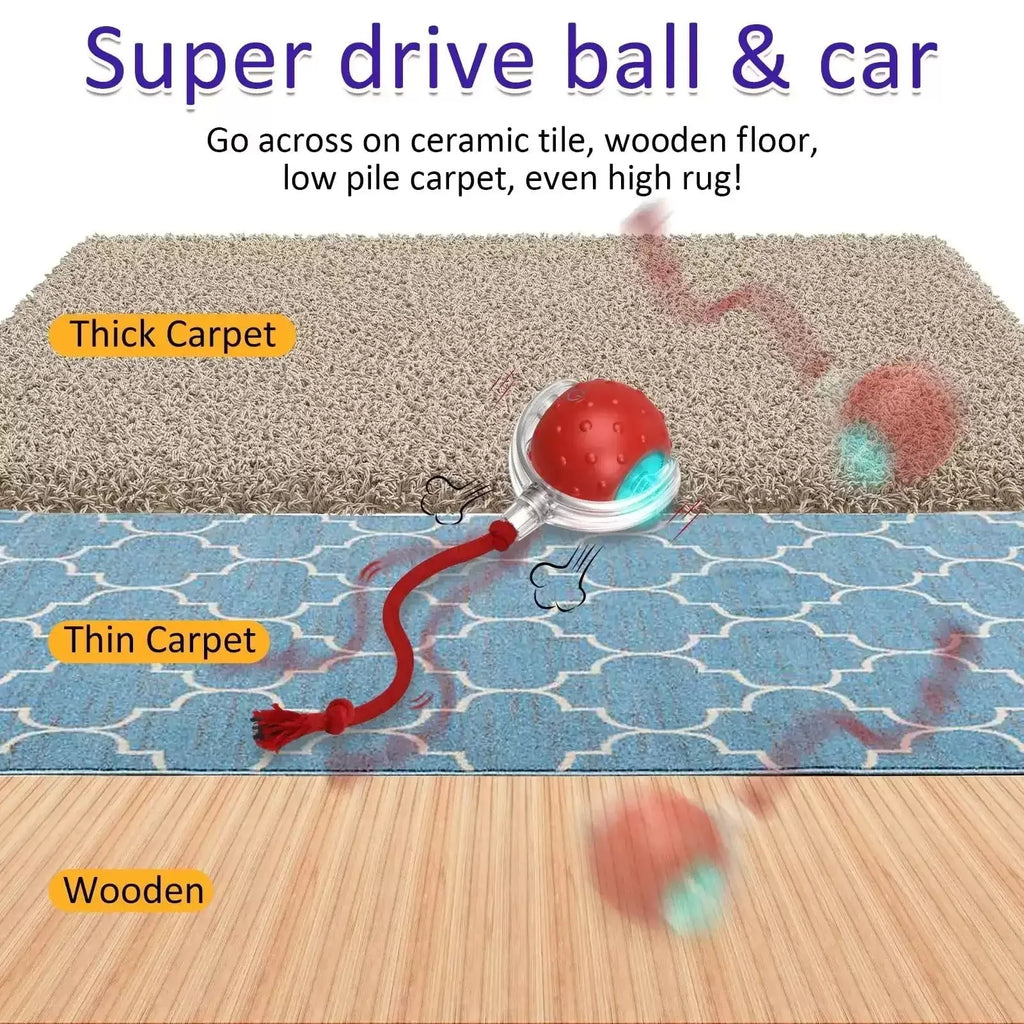 A single bright red plastic interactive cat toy ball designed for rolling and chase play.